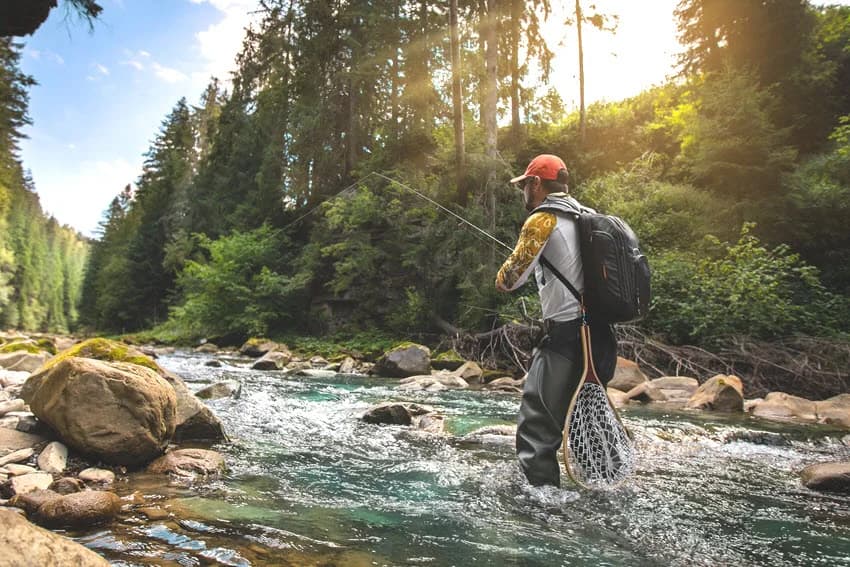 Zipline avantura u prirodi 4