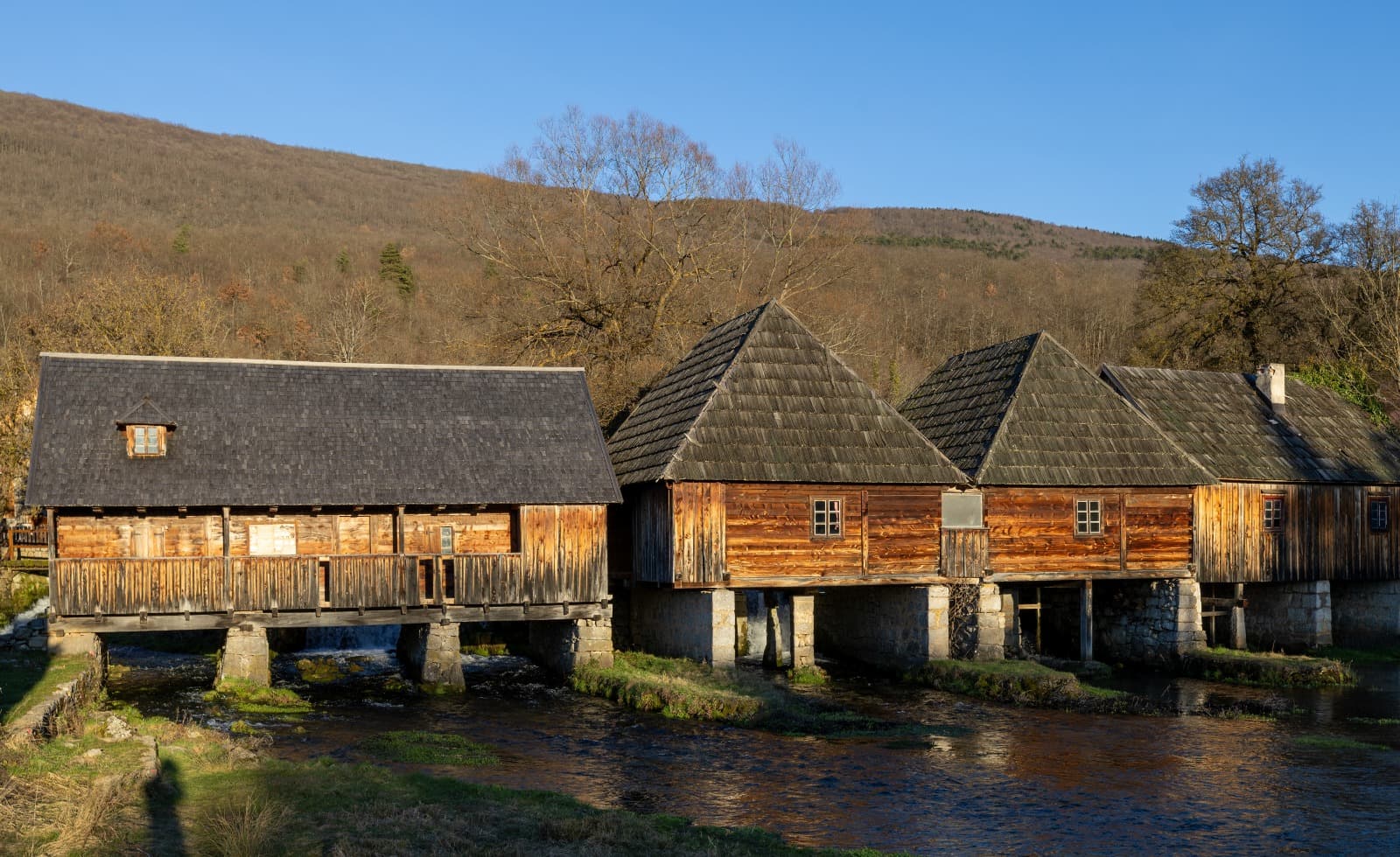 7) Pogledi i priroda 14 14