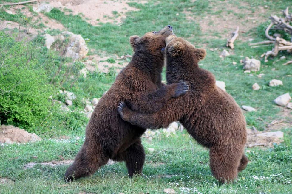 7) Pogledi i priroda 16 16