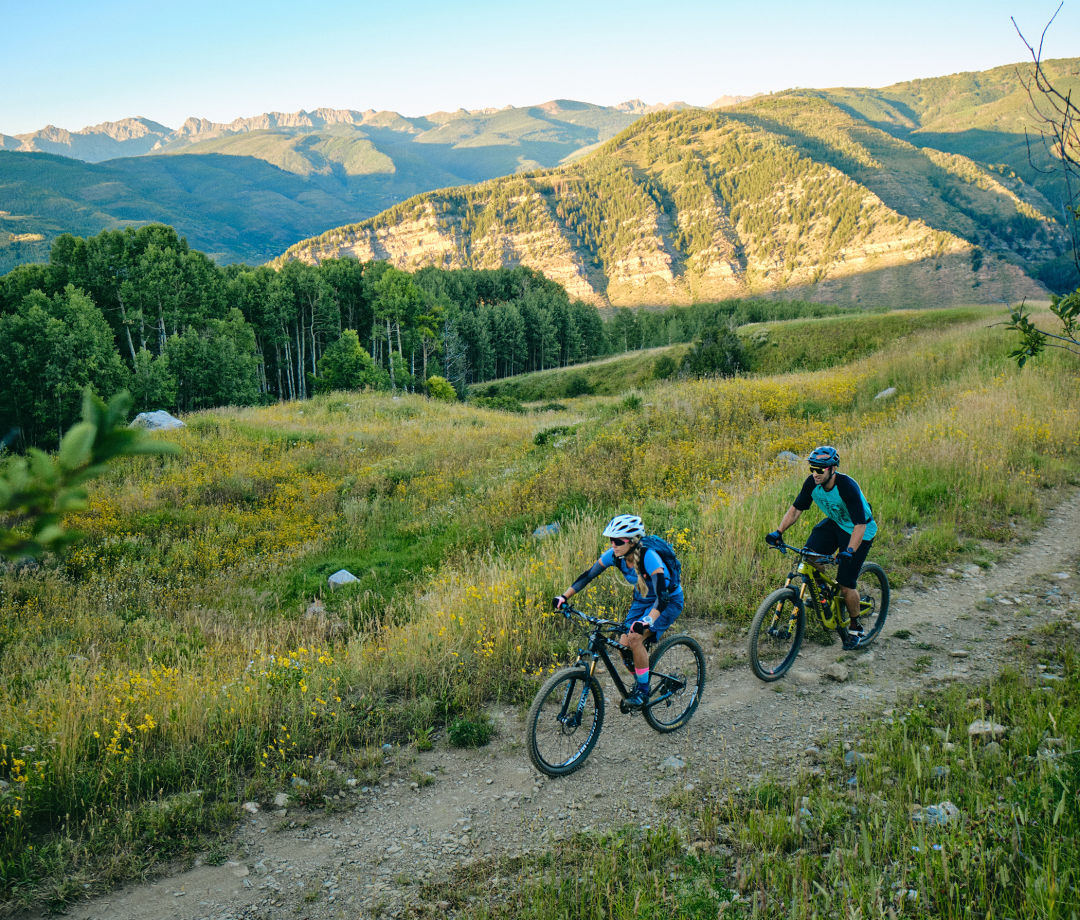Zipline adventure in nature 3