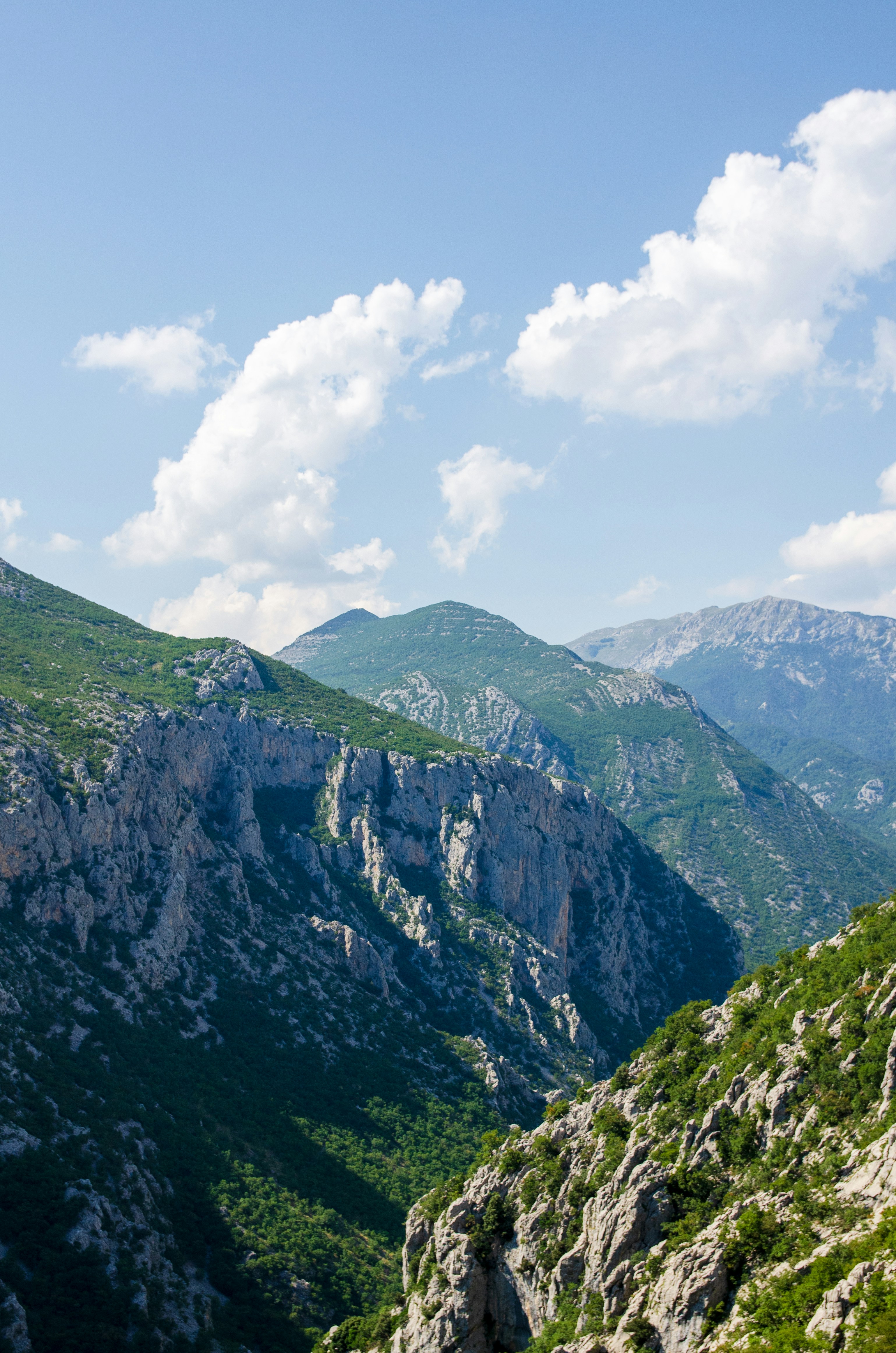 Untouched forests of Lika and mountain scenery 8