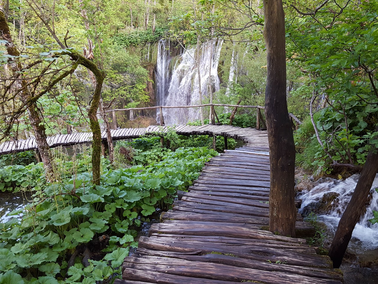 Plitvice Lakes - UNESCO World Heritage 3