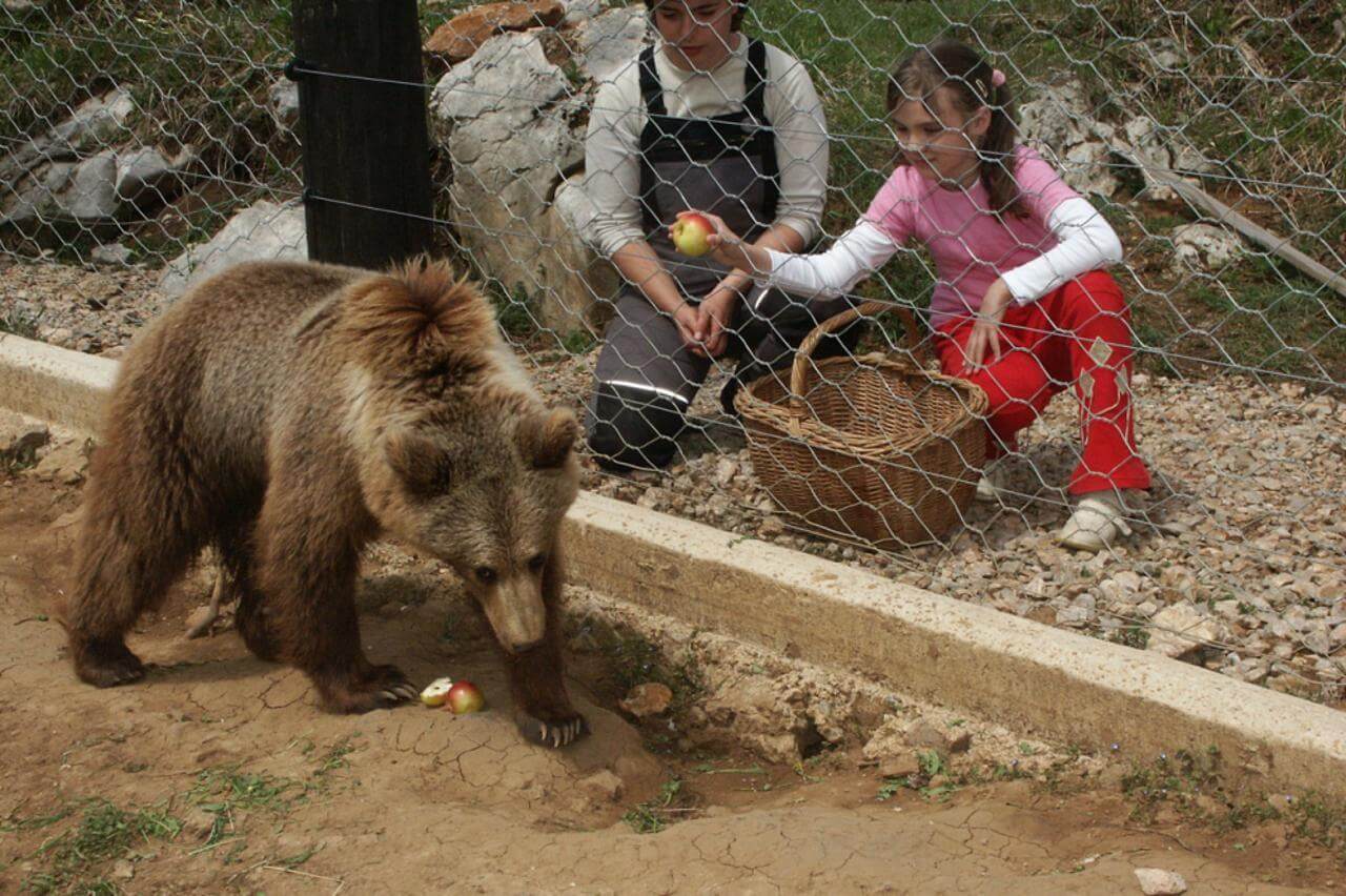 Kuterevo — obiteljski izlet s djecom.